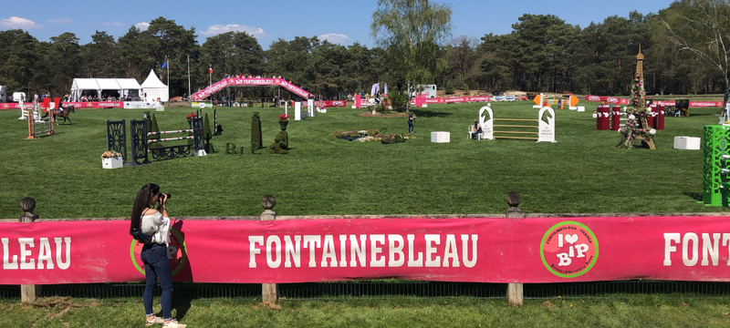 Image de l'article Le Grand Parquet de Fontainebleau se refait une beauté 